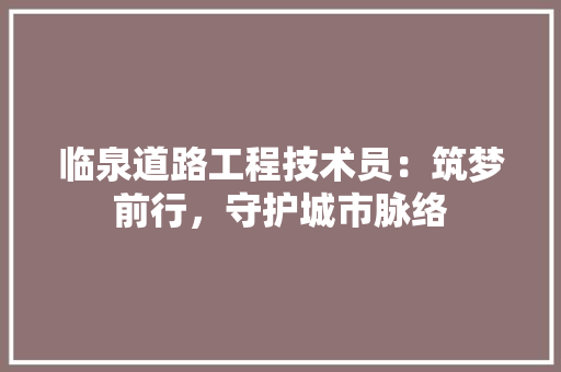 临泉道路工程技术员：筑梦前行，守护城市脉络 家居装修