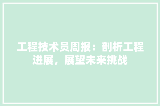 工程技术员周报：剖析工程进展，展望未来挑战 现代风格装饰