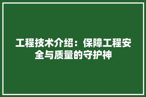 工程技术介绍：保障工程安全与质量的守护神 现代风格装饰
