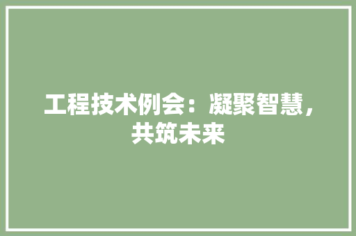 工程技术例会：凝聚智慧，共筑未来 现代风格装饰