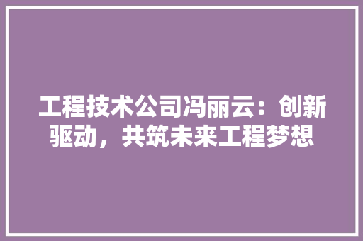 工程技术公司冯丽云：创新驱动，共筑未来工程梦想 现代风格装饰