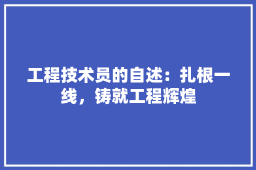 工程技术员的自述：扎根一线，铸就工程辉煌 现代风格装饰