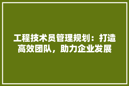 工程技术员管理规划：打造高效团队，助力企业发展 现代风格装饰