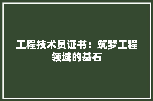 工程技术员证书：筑梦工程领域的基石 现代风格装饰