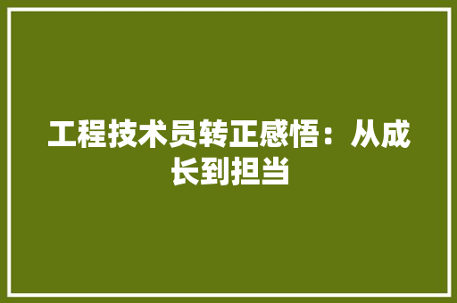 工程技术员转正感悟：从成长到担当 现代风格装饰
