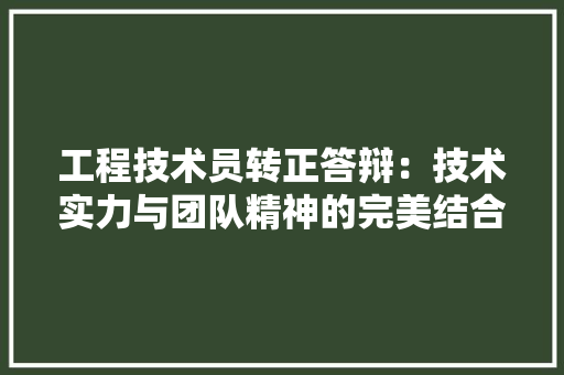 工程技术员转正答辩：技术实力与团队精神的完美结合 现代风格装饰