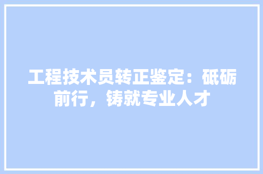 工程技术员转正鉴定：砥砺前行，铸就专业人才 现代风格装饰