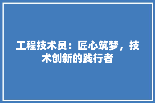 工程技术员：匠心筑梦，技术创新的践行者 现代风格装饰