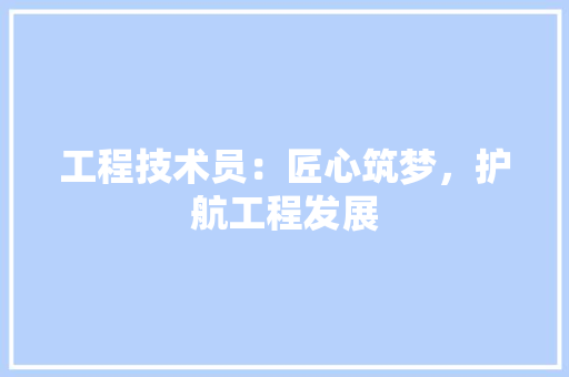 工程技术员：匠心筑梦，护航工程发展 现代风格装饰