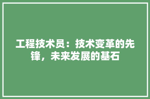 工程技术员：技术变革的先锋，未来发展的基石 现代风格装饰