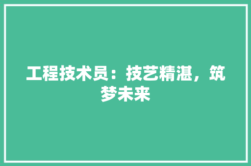 工程技术员：技艺精湛，筑梦未来 现代风格装饰