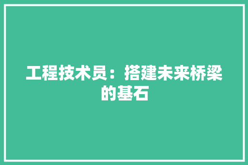 工程技术员：搭建未来桥梁的基石 现代风格装饰