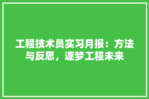 工程技术员实习月报：方法与反思，逐梦工程未来 现代风格装饰