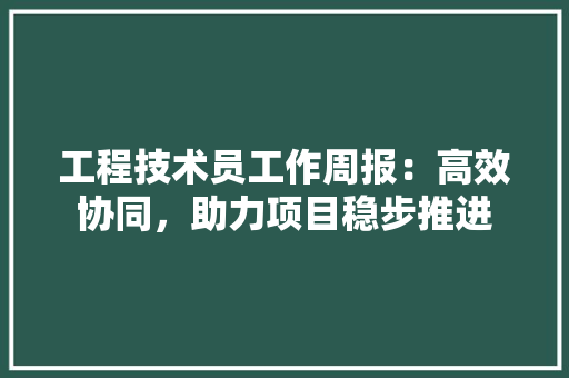 工程技术员工作周报：高效协同，助力项目稳步推进 现代风格装饰