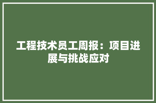 工程技术员工周报：项目进展与挑战应对 现代风格装饰