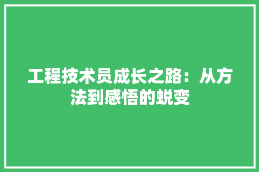 工程技术员成长之路：从方法到感悟的蜕变 现代风格装饰