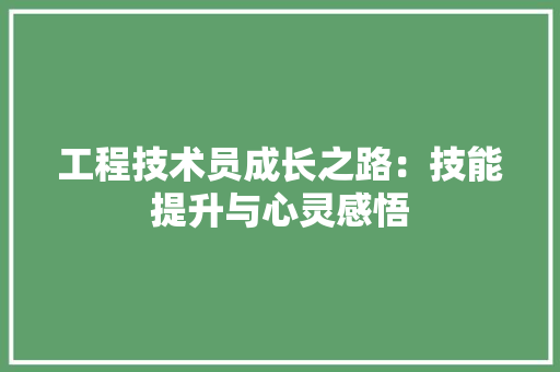 工程技术员成长之路：技能提升与心灵感悟 现代风格装饰