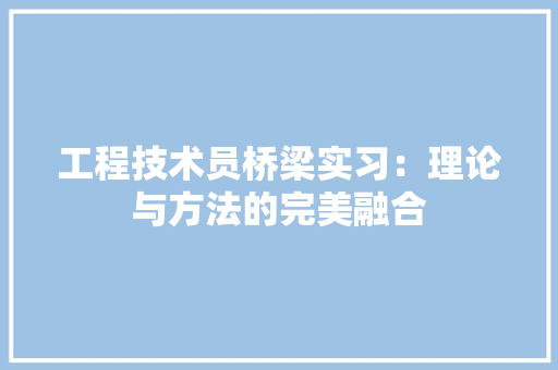 工程技术员桥梁实习：理论与方法的完美融合 现代风格装饰
