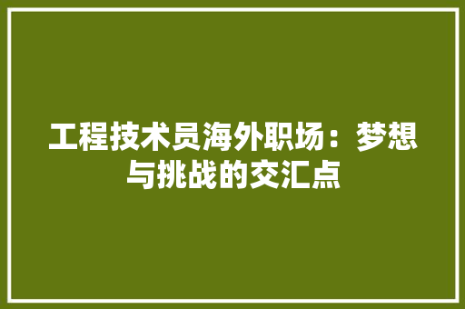 工程技术员海外职场：梦想与挑战的交汇点 现代风格装饰