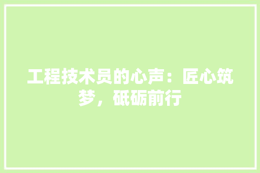 工程技术员的心声：匠心筑梦，砥砺前行 现代风格装饰
