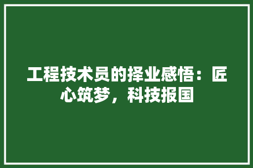 工程技术员的择业感悟：匠心筑梦，科技报国