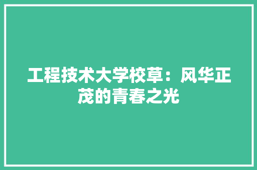 工程技术大学校草：风华正茂的青春之光 现代风格装饰