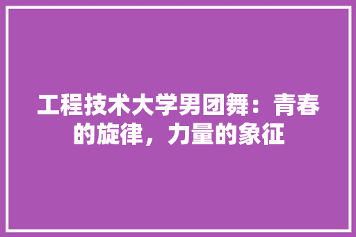 工程技术大学男团舞：青春的旋律，力量的象征 现代风格装饰