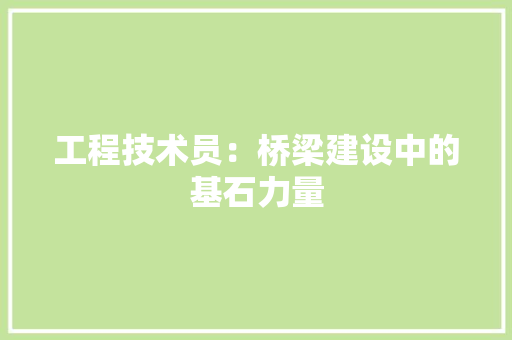 工程技术员：桥梁建设中的基石力量