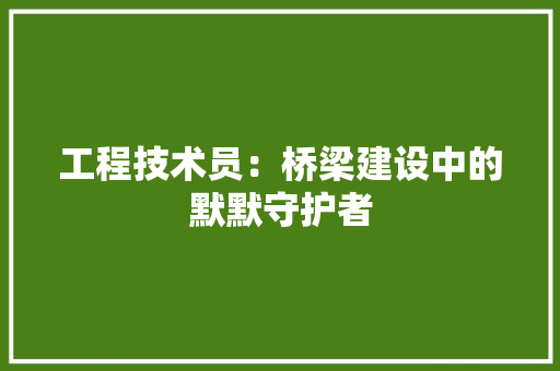 工程技术员：桥梁建设中的默默守护者 现代风格装饰
