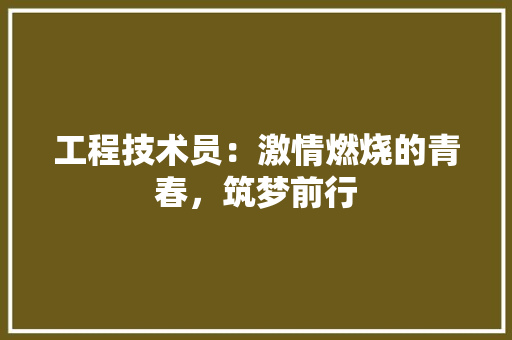 工程技术员：激情燃烧的青春，筑梦前行 现代风格装饰