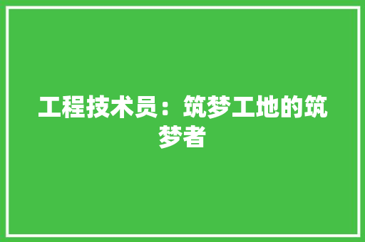 工程技术员：筑梦工地的筑梦者 现代风格装饰
