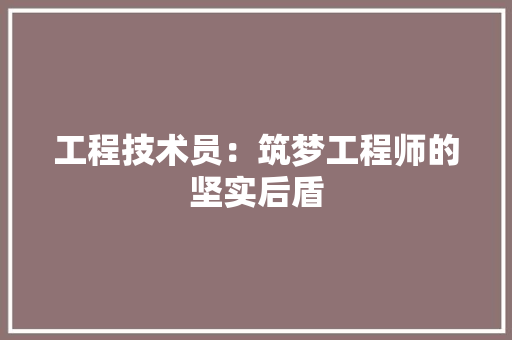 工程技术员：筑梦工程师的坚实后盾 现代风格装饰