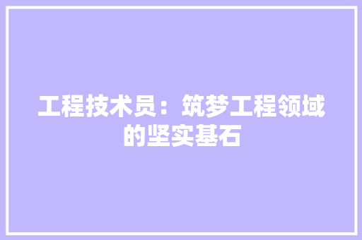 工程技术员：筑梦工程领域的坚实基石 现代风格装饰