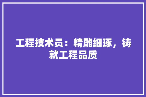 工程技术员：精雕细琢，铸就工程品质 现代风格装饰