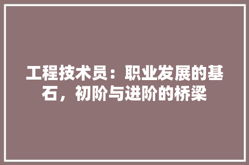 工程技术员：职业发展的基石，初阶与进阶的桥梁 现代风格装饰