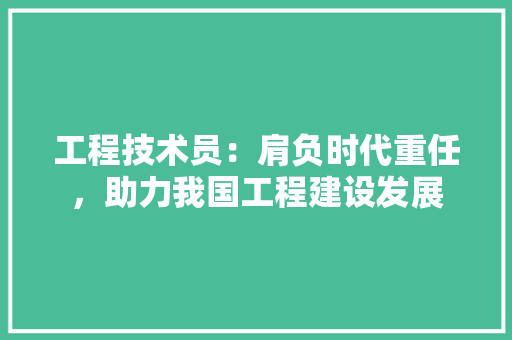 工程技术员：肩负时代重任，助力我国工程建设发展 现代风格装饰