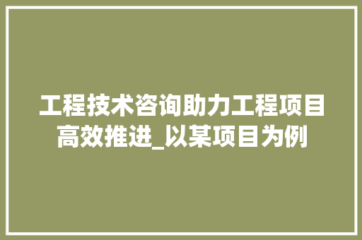工程技术咨询助力工程项目高效推进_以某项目为例 现代风格装饰