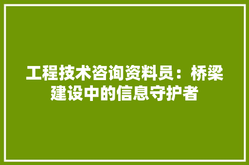 工程技术咨询资料员：桥梁建设中的信息守护者 现代风格装饰