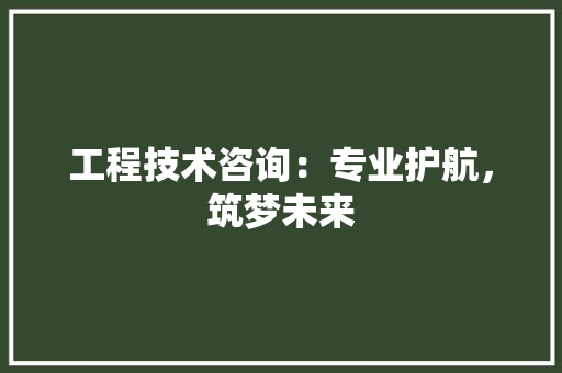 工程技术咨询：专业护航，筑梦未来 现代风格装饰