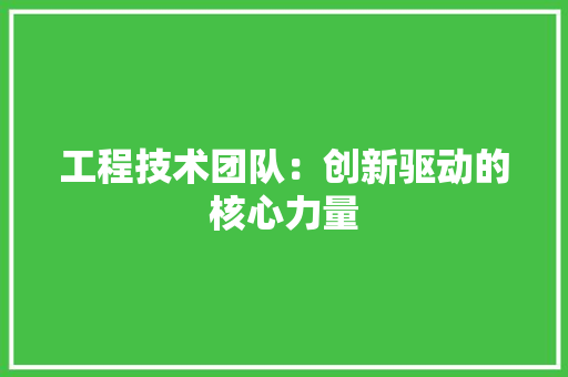 工程技术团队：创新驱动的核心力量 现代风格装饰