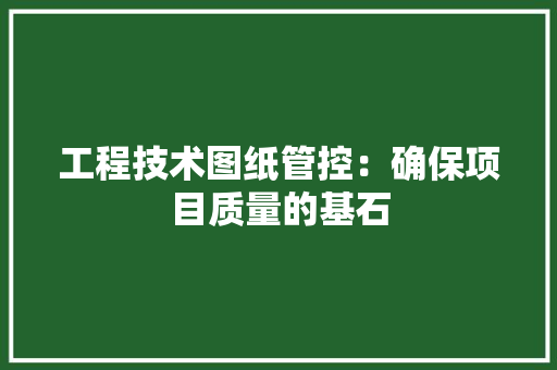 工程技术图纸管控：确保项目质量的基石 现代风格装饰