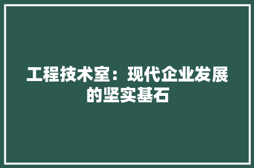 工程技术室：现代企业发展的坚实基石 现代风格装饰