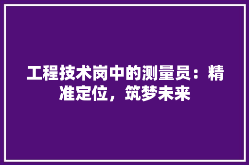 工程技术岗中的测量员：精准定位，筑梦未来 现代风格装饰