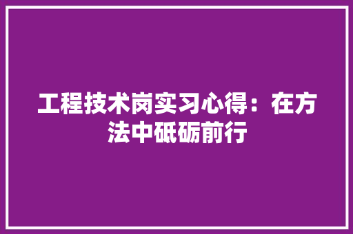 工程技术岗实习心得：在方法中砥砺前行 现代风格装饰