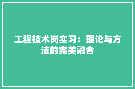 工程技术岗实习：理论与方法的完美融合 现代风格装饰