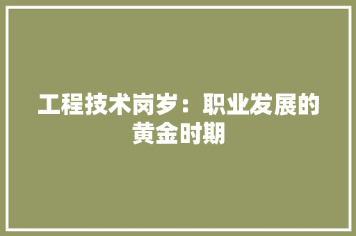 工程技术岗岁：职业发展的黄金时期 现代风格装饰