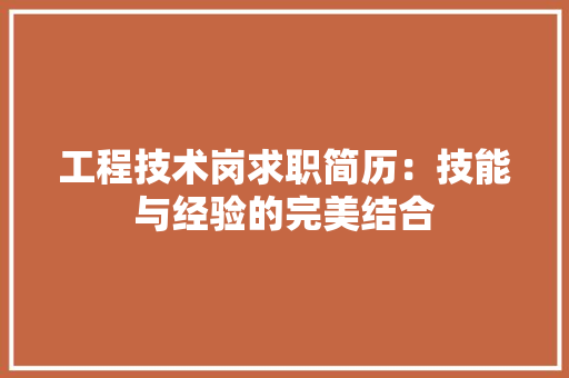 工程技术岗求职简历：技能与经验的完美结合 现代风格装饰