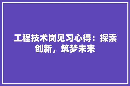 工程技术岗见习心得：探索创新，筑梦未来 现代风格装饰