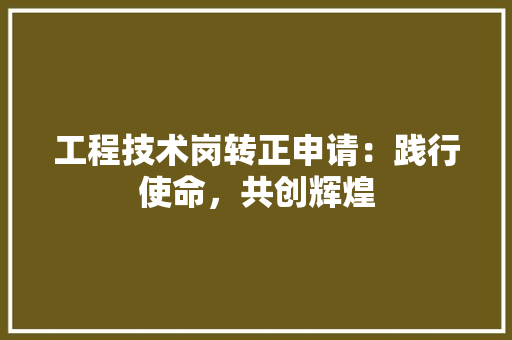 工程技术岗转正申请：践行使命，共创辉煌