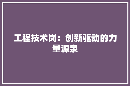 工程技术岗：创新驱动的力量源泉 现代风格装饰